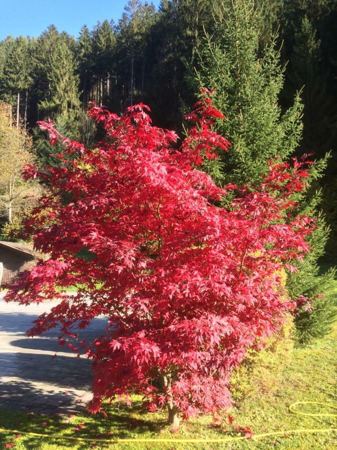 Gasthof Waldrast Zell am Ziller Ngoại thất bức ảnh